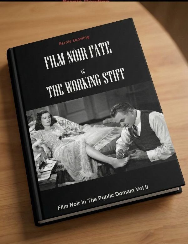 Cover of Film Noir Fate Vs The Working Stiff